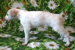 DSC01346
